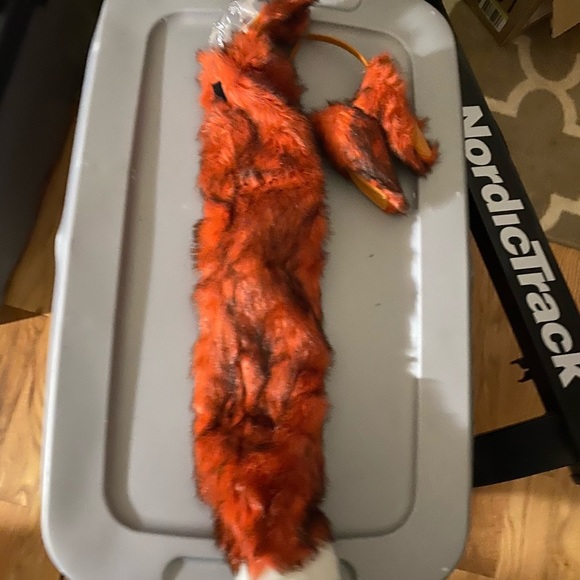 Tail and Ears